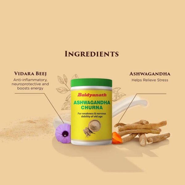 Baidyanath Ashwagandha Churna Pack of 1 / 100 gm - Image 2
