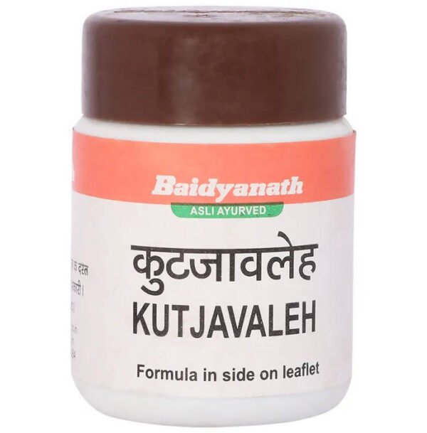Baidyanath Panchasava 450 ML - Image 2