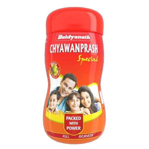 Baidyanath Kolkata Chyawanprash Special 500 gm - Image 2