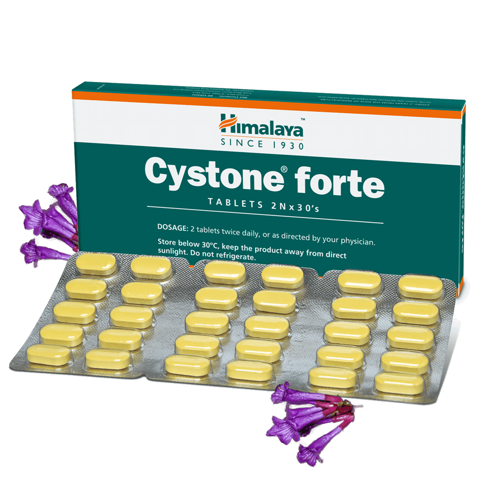 Himalaya Herbals Cystone Forte Tablets - 60 tabs - Image 2