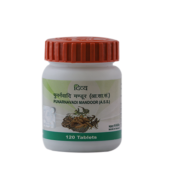 Patanjali Punarnavadi Mandoor - 60 tabs / Pack of 1 - Image 2