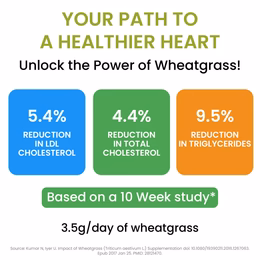 Vlado's Himalayan Organics 100% Natural Organic Wheatgrass Powder | USDA Certified I Wheat Grass Powder | Organic Wheatgrass Juice | Ayurvedic Support For Natural Detox | Immunity Booster | Herbal Supplement - 100g - Image 3