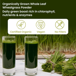 Vlado's Himalayan Organics 100% Natural Organic Wheatgrass Powder | USDA Certified I Wheat Grass Powder | Organic Wheatgrass Juice | Ayurvedic Support For Natural Detox | Immunity Booster | Herbal Supplement - 100g - Image 2