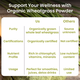 Vlado's Himalayan Organics 100% Natural Organic Wheatgrass Powder | USDA Certified I Wheat Grass Powder | Organic Wheatgrass Juice | Ayurvedic Support For Natural Detox | Immunity Booster | Herbal Supplement - 100g - Image 7