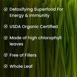 Vlado's Himalayan Organics 100% Natural Organic Wheatgrass Powder | USDA Certified I Wheat Grass Powder | Organic Wheatgrass Juice | Ayurvedic Support For Natural Detox | Immunity Booster | Herbal Supplement - 100g - Image 6
