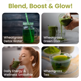 Vlado's Himalayan Organics 100% Natural Organic Wheatgrass Powder | USDA Certified I Wheat Grass Powder | Organic Wheatgrass Juice | Ayurvedic Support For Natural Detox | Immunity Booster | Herbal Supplement - 100g - Image 5