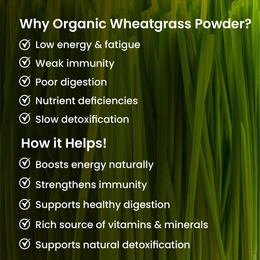 Vlado's Himalayan Organics 100% Natural Organic Wheatgrass Powder | USDA Certified I Wheat Grass Powder | Organic Wheatgrass Juice | Ayurvedic Support For Natural Detox | Immunity Booster | Herbal Supplement - 100g - Image 4
