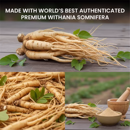 Vlado's Himalayan Organics 100% Organic Ashwagandha Powder 100gm - Withania Somnifera | Pure Ashwagandha Powder Organic -Support Muscle Recovery & Boost Energy Level | USDA Certified for Vitality, Strength & Stress Management | 100gm - Image 9