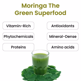 Vlado's Himalayan Organics 100% Organic Certified Moringa Powder - Natural Superfood with 120+ Nutrients, Antioxidants & Vitamins - Drumstick Leaf powder | Herbal Supplement I for Immunity, Digestion & Energy I Rich In Antioxidant & Protein - 200g - Image 6