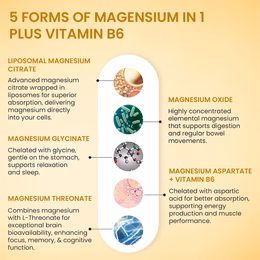 Vlado's Himalayan Organics 5X Strength Liposomal Magnesium Supplement - 2100mg+ with Chelated Magnesium Glycinate | For Sleep, Cramps, Recovery, Nerve & Muscle Function, Clinically Proven, 100% RDA - 120 Tablets - Image 8