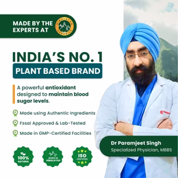 Vlado's Himalayan Organics Alpha Lipoic 300mg | Boost Liver Function, Healthy Blood Sugar, Antioxidant - 60 Veg Tablets - Image 7