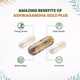 Vlado's Himalayan Organics Ashwagandha Gold | Supports Strength, Energy & Immunity | 60 Veg Capsules - Image 7