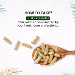 Vlado's Himalayan Organics Ashwagandha Gold | Supports Strength, Energy & Immunity | 60 Veg Capsules - Image 5