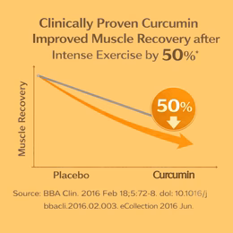 Vlado's Himalayan Organics Curcumin 1600mg+ | Extra-Pure Nano Curcumin Capsules with 95% Curcuminoids | Turmeric & Piperine | Joint Support Supplement for Men & Women - 60 Capsules - Image 5