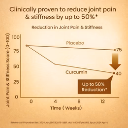 Vlado's Himalayan Organics Curcumin (1600mg+ / Serving ) with Black Pepper Supplement and 95% Curcuminoids | Anti inflammatory Supplement for Men & Women | With Curcuma Longa, Turmeric & Ginger Root extract | 60 Veg Tablets - Image 4