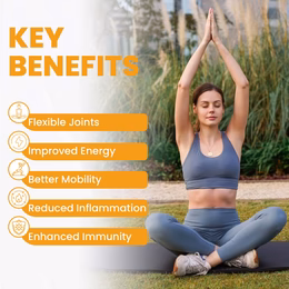 Vlado's Himalayan Organics Curcumin With Biopiperine 1500mg Tablets With 95% Curcuminoids Supplements For Better Absorption | Good For Skin & Joint pains | Immunity Booster for Men And Women - 90 Veg Tablets - Image 6