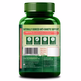 Vlado's Himalayan Organics Diabetes Support Supplement | Helps Control Blood Sugar Levels | 100% Vegetarian (60 capsules) - Image 3