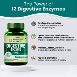 Vlado's Himalayan Organics Digestive Enzyme for Healthy Digestion - 90 Vegetarian Tablets - Image 4