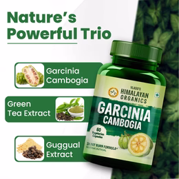Vlado's Himalayan Organics Garcinia Cambogia Supplement for Weight Management - 60 Veg Capsules - Image 5