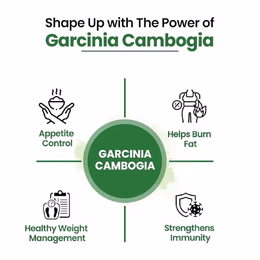 Vlado's Himalayan Organics Garcinia Cambogia Supplement for Weight Management - 60 Veg Capsules - Image 6