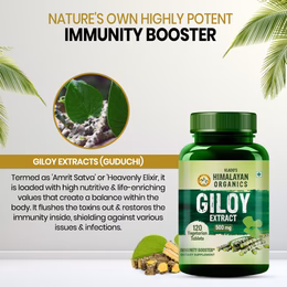 Vlado's Himalayan Organics Ginkgo Biloba for Healthy Brain Functions - 60 Capsules - Image 7