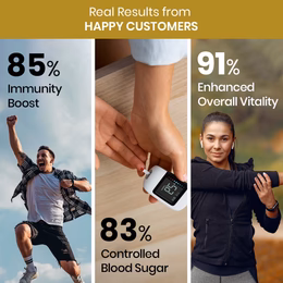 Vlado's Himalayan Organics Ginkgo Biloba for Healthy Brain Functions - 60 Capsules - Image 8