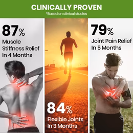 Vlado's Himalayan Organics Glucosamine Chondroitin MSM | For Bone, Joint & Cartilage Support | 90 Tablets - Image 7