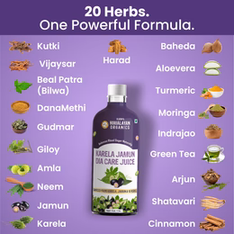 Vlado's Himalayan Organics Karela Jamun Diabetic Care Juice with Neem, Amla, Giloy, Gudmar, Methi, Shatavari, Arjun I Made with 18+ Clinically Proven Natural 100% Ayurvedic Potent Herbs I For Diabetic & Sugar Control I Dia Free Diabic Care Juice - 1L - Image 3