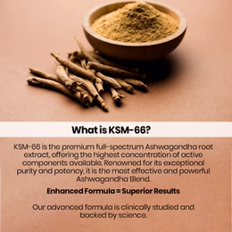 Vlado’s Himalayan Organics KSM66 Ashwagandha 500 Mg I 5% Withania Somnifera I Pure Ashwagandha Men & Women (60 Capsules) - Image 7