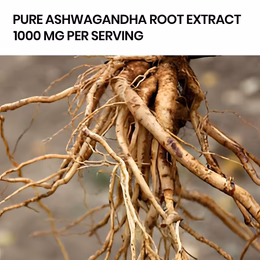 Vlado's Himalayan Organics Liposomal Ashwagandha 1000mg/Serve || Energy & Endurance || 60 Veg Capsules - Image 8