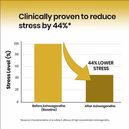 Vlado's Himalayan Organics Liposomal Ashwagandha 1000mg/Serve || Energy & Endurance || 60 Veg Capsules - Image 7