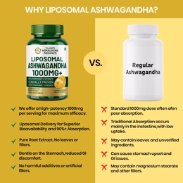 Vlado's Himalayan Organics Liposomal Ashwagandha 1000mg/Serve || Energy & Endurance || 60 Veg Capsules - Image 11