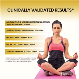 Vlado's Himalayan Organics Liposomal Ashwagandha 1000mg/Serve || Energy & Endurance || 60 Veg Capsules - Image 3