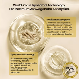 Vlado's Himalayan Organics Liposomal Ashwagandha 1000mg/Serve || Energy & Endurance || 60 Veg Capsules - Image 5