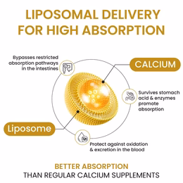 Vlado’s Himalayan Organics Liposomal Calcium 2100mg with Vitamin D3 + K2 (MK-7) & Vitamin B12 | Better Absorption | Supports Healthy Bones, Heart, Joints & Recovery | For Men & Women | 60 Veg Tablets - Image 3