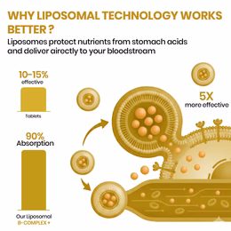 Vlado’s Himalayan Organics Liposomal Vitamin B Complex with 100% RDA B1, B2, B3, B5, B6, B9 & B12 | Hair Growth, Boost Energy And Immunity (60 Capsules) - Image 6