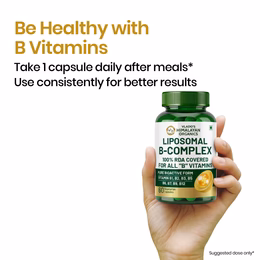 Vlado’s Himalayan Organics Liposomal Vitamin B Complex with 100% RDA B1, B2, B3, B5, B6, B9 & B12 | Hair Growth, Boost Energy And Immunity (60 Capsules) - Image 9