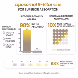 Vlado’s Himalayan Organics Liposomal Vitamin B Complex with 100% RDA B1, B2, B3, B5, B6, B9 & B12 | Hair Growth, Boost Energy And Immunity (60 Capsules) - Image 5