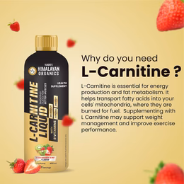 Vlado's Himalayan Organics L Carnitine Liquid 3000 mg I with Vitamin B3, B5, B6 I Pre Workout, Intra Workout & Post Workout Supplement I | Break fat cells for Healthy Weight Loss | 5X Strength | For Men & Women I 30 Servings Strawberry Flavor - 450 ML - Image 4