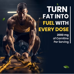 Vlado's Himalayan Organics L-Carnitine L-Tartrate With Green Tea Extract 2000 Mg | Healthy Weight Management | Supports Muscle Recovery, Boost Energy, Endurance And Fat Burn - 120 Vegetarian Tablets - Image 4