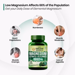 Vlado's Himalayan Organics Magnesium Complex Supplement | 1660mg | with Magnesium Glycinate, Magnesium Citrate, Magnesium Oxide - 120 Veg Tablets - Image 2