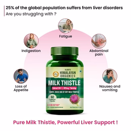 Vlado's Himalayan Organics Milk Thistle Extract Detox Supplement For Men And Women With 800Mg Of Silybum Marianum For Healthy Liver | Helps in Cleanse Liver - 60 Vegetarian Capsules - Image 2