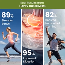 Vlado's Himalayan Organics Multivitamin With Probiotics - 60 Ingredients Supplement For Men And Women - 180 Veg Tablets - Image 4