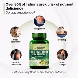Vlado's Himalayan Organics Multivitamin with Probiotics (60 Tablets) 60 Ingredients for Men & Women with Vitamin C, D, E, B3, B12, Zinc, Giloy & Biotin - Image 3
