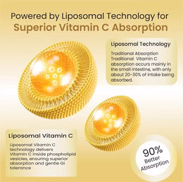Vlado's Himalayan Organics Natural Liposomal Vitamin C Supplements Amla Extract With Zinc For Immunity & Skincare | Antioxidant Vitamin, Skin Rejuvenation I Vitamin C Tablets - 120 Veg Tablets - Image 6