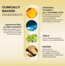 Vlado's Himalayan Organics Natural Liposomal Vitamin C Supplements Amla Extract With Zinc For Immunity & Skincare | Antioxidant Vitamin, Skin Rejuvenation I Vitamin C Tablets - 120 Veg Tablets - Image 5