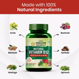 Vlado's Himalayan Organics Natural Vitamin B12 Supplement | B1,B2,B3,B5,B6,B7,B9,Moringa| Boost Energy Level | Good For Digestion And Nerve Health | Glowing Skin For Men & Women - 120 Vegetarian Capsules - Image 6