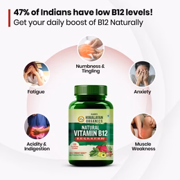 Vlado's Himalayan Organics Natural Vitamin B12 Supplement | B1,B2,B3,B5,B6,B7,B9,Moringa| Boost Energy Level | Good For Digestion And Nerve Health | Glowing Skin For Men & Women - 120 Vegetarian Capsules - Image 3