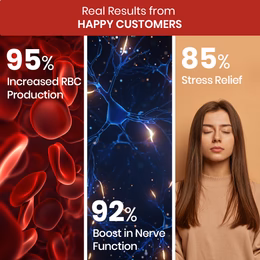 Vlado's Himalayan Organics Natural Vitamin B12 Supplement | B1,B2,B3,B5,B6,B7,B9,Moringa| Boost Energy Level | Good For Digestion And Nerve Health | Glowing Skin For Men & Women - 120 Vegetarian Capsules - Image 4