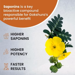 Vlado's Himalayan Organics - Organic Gokshura Tablets - 1000mg Gokhru / Serving - Tribulus Terrestris for Men & Women | Improves Energy, Muscle Strength, Stamina & Supports Recovery - Image 6